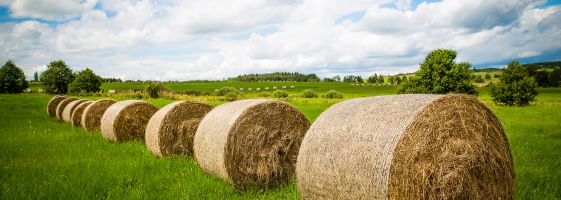 straw