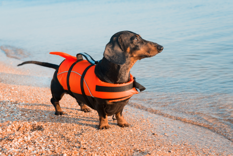 Are you wearing the right life jacket?